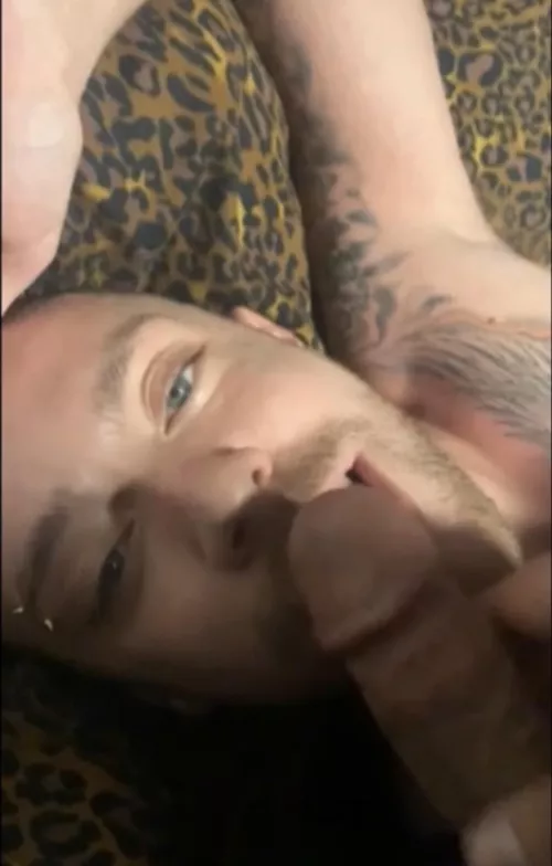 Who wants to feed me? 😈 by DavidVincent202