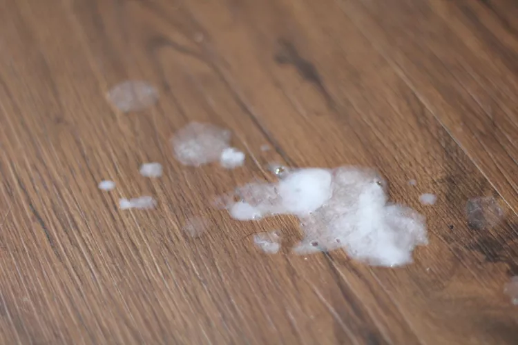 Who wants to join Me ? I’ve been getting really active 👀💦 by Pleasant-One4828