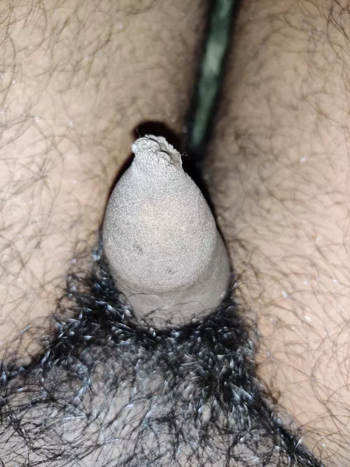 Who wants to make it big? DM by Advance-Fancy