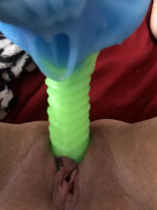 Who wants to play? by tattdyoshi666