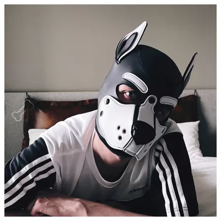 Who wants to play? by pupbrot