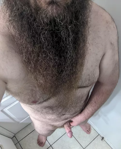 Who wants to play? by daddlion6996