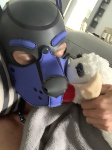 Who wants to replace Lamb Chop? by tenorboi77