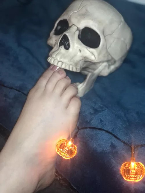 Who wants to replace my skull? by Historical_Ride3523