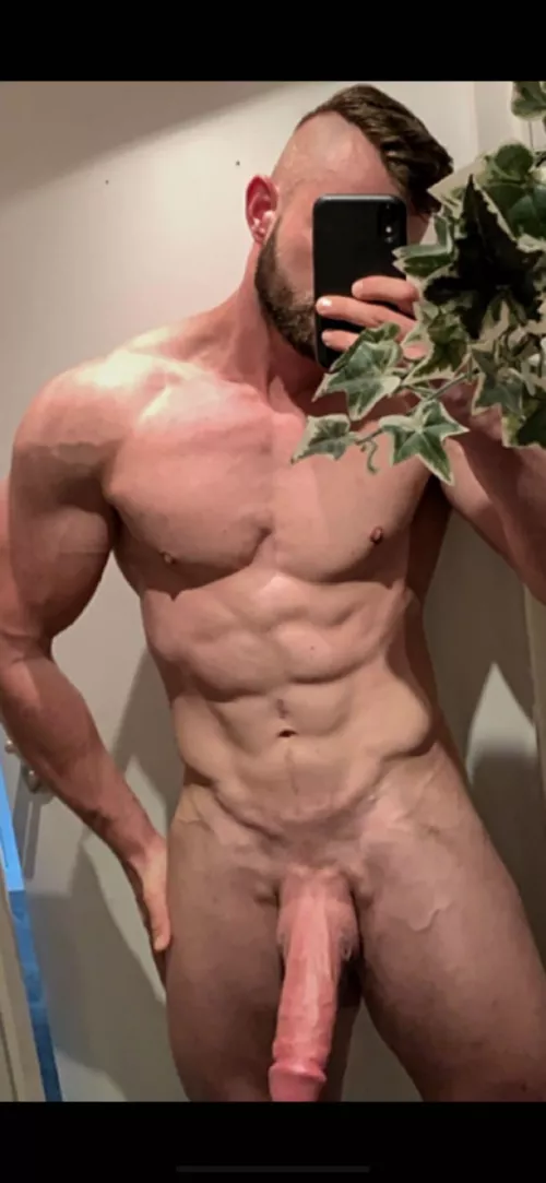 Who wants to ride me? by jvdp2412