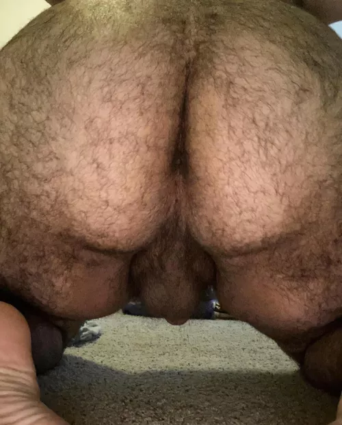 Who wants to see me force some toys into here? by dudjfn