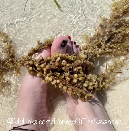 Who wants to see my feet play in the water on the beach? 🌊☀️🏝 DM me! 😋 by Savannahs_Feet