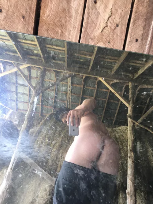 Who wants to smash this pumpkin? by llliliiliilliilill