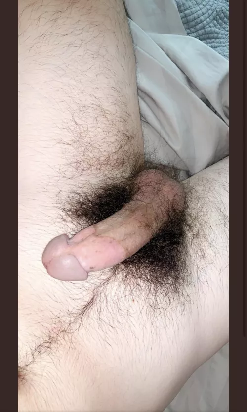 Who wants to suck my hairy cock by bushy4you