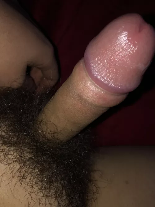 Who wants to suck on my dick [19] by smalldick-lover