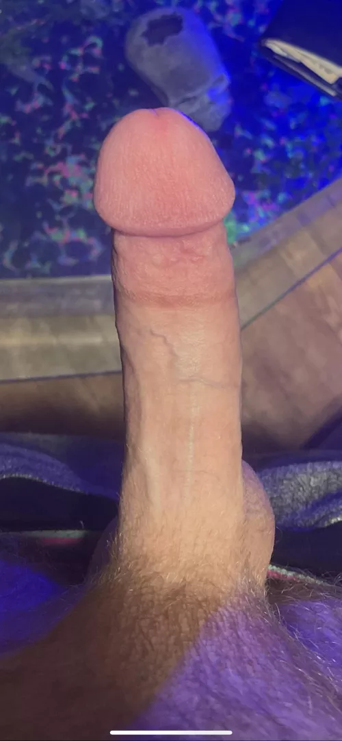 Who wants to take a seat? by dunca3aj