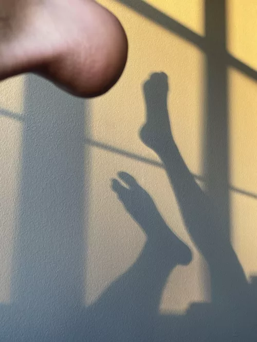 Who wants to worship these? Pm to worship them by Cool-Seaworthiness44