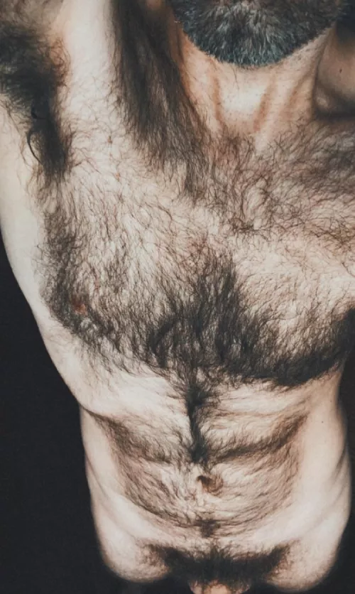 Who wants warm furry cuddles? by jerseyjaxoff