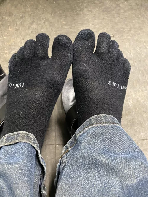 Who will play with them for me by caseysfeet