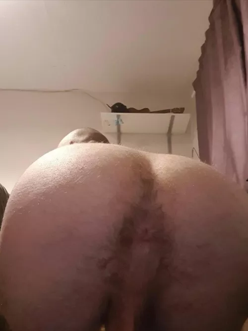 who would eat it? ;) by biguy56789