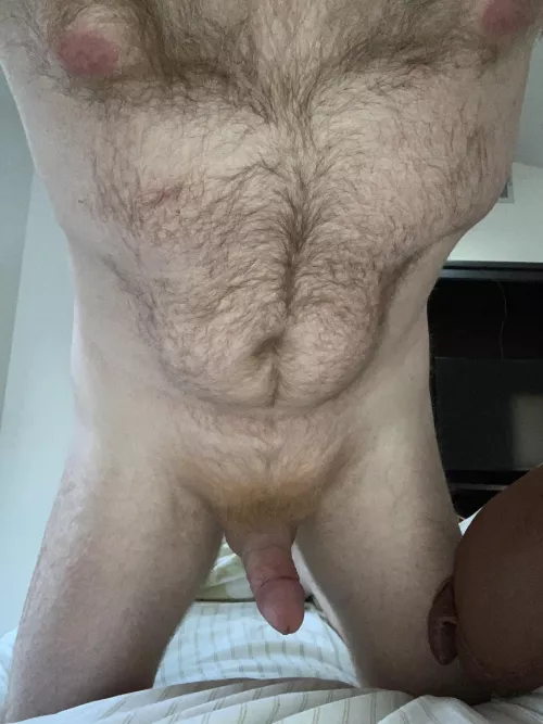 Who would like a fuzzy orange blanket on top of them? by ZelaznyFan68