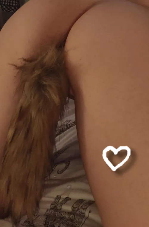 Who would play with me and make my tail wag? by Hot_Metal_Goddess