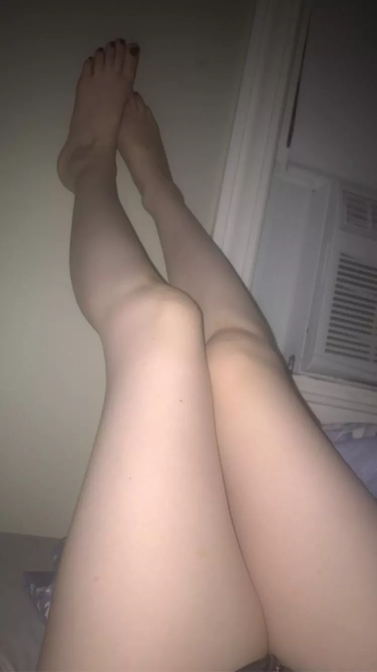 Whoever named the daddy-long-legs spider needs to unpack that in therapy 🕷 posted by Gothgftoez