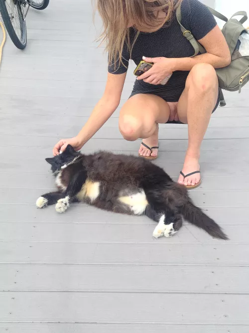 Who's a fan of fat pussy's? by picklexpoison