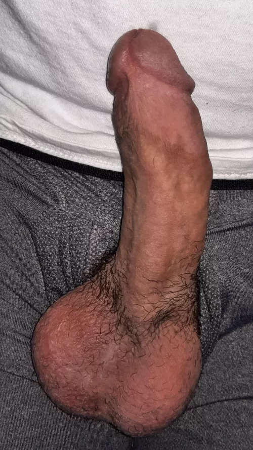 Whos feelin wild this morning? by Dick_Shownoff