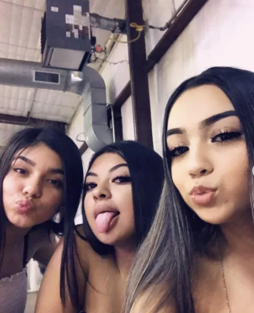 Who’s going to suck you dry? by DogeinBush