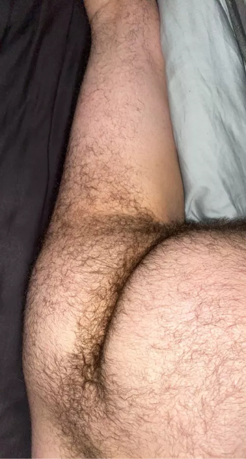 Who’s going to use my hairy ass while my bf watches? by trhwtt
