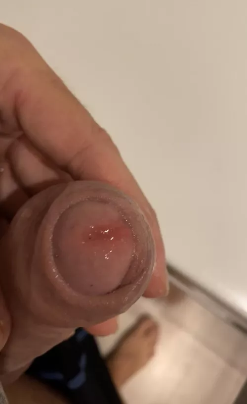 Who’s gonna lap it up? by LifeandLeo