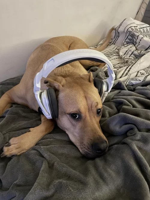 Who’s ready to stream? by Separate-Medicine131