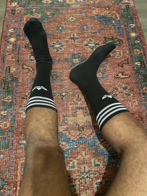 Who’s the best sniffer out there ? by reffnutte