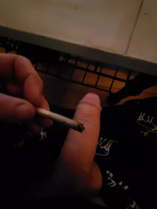 Who's up? (M) Dm by BWcC41