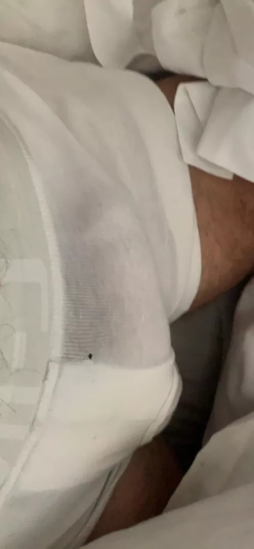 Whose horny? by randersf