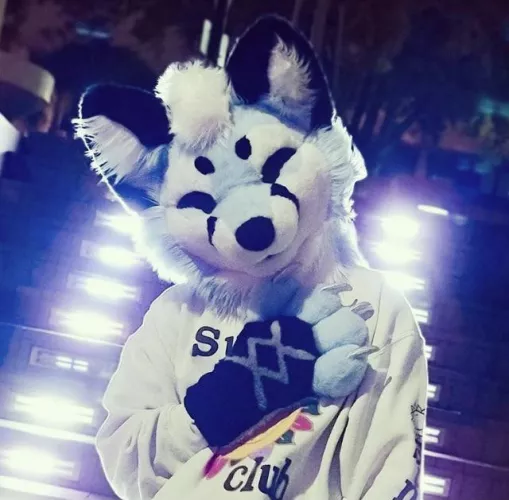 Why are we furries? Iv always wondered how all of us gotten into this! Tell me your story of how you became a furry! by NievesFam