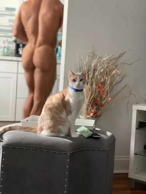 Why do you look so surprised little buddy? 🙀🙀 by Smooth-Hornet-1111