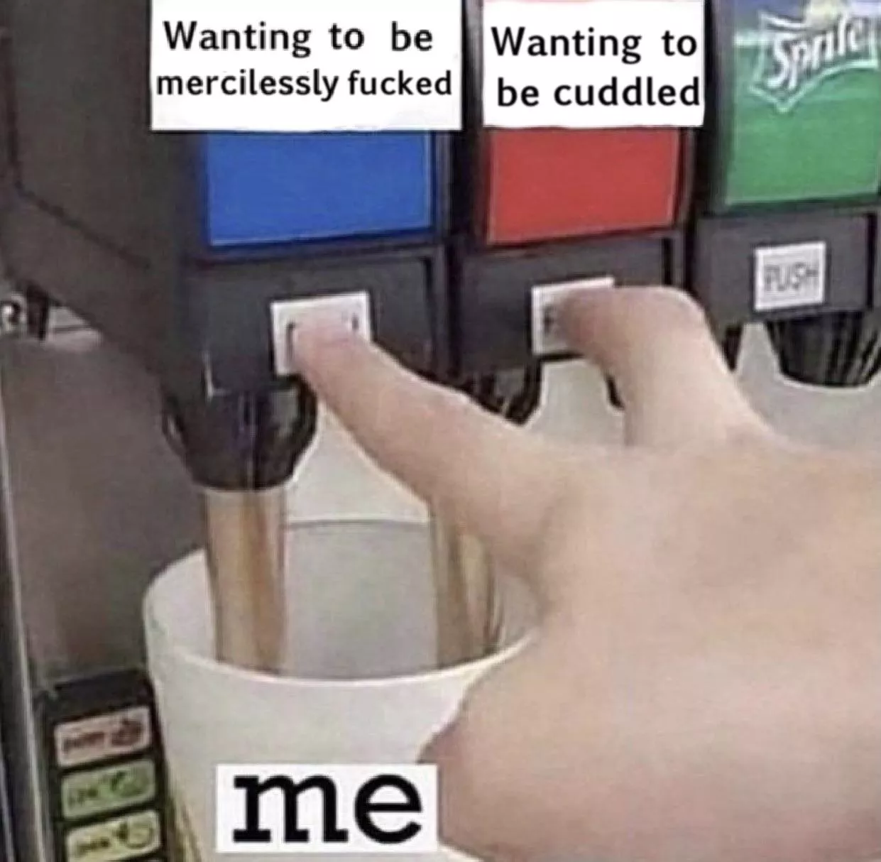 Why not both? posted by wellthatseemslikebs