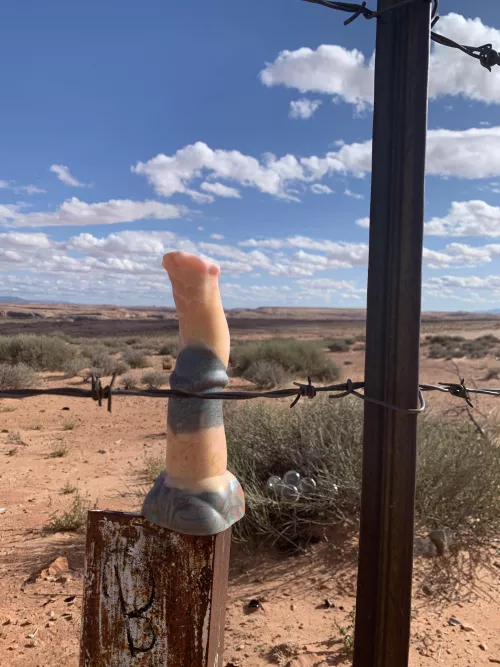 Wide open Spaces… by Xy_and_Xan