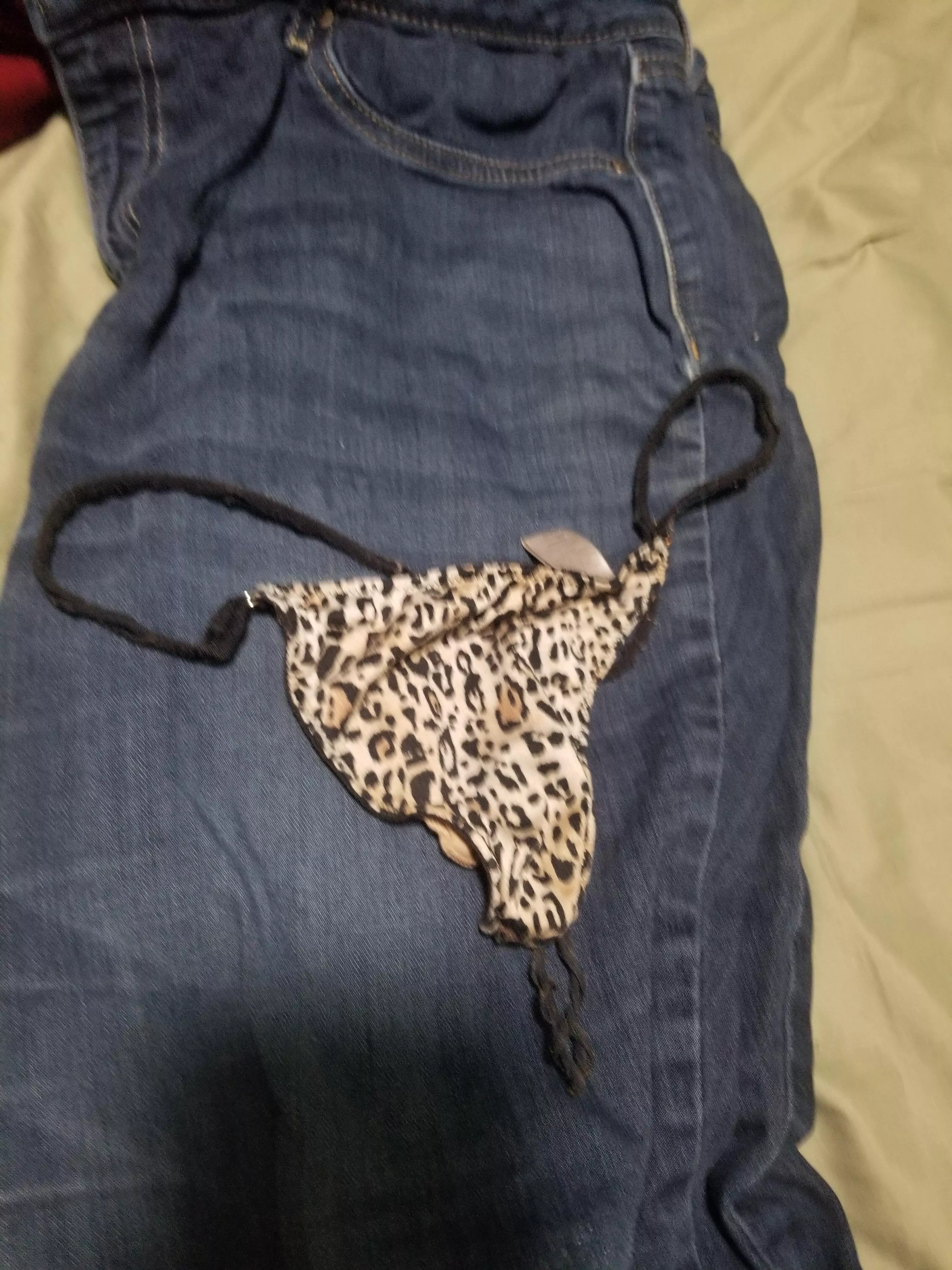 Wife Laid her Clothes Out posted by racinzach7