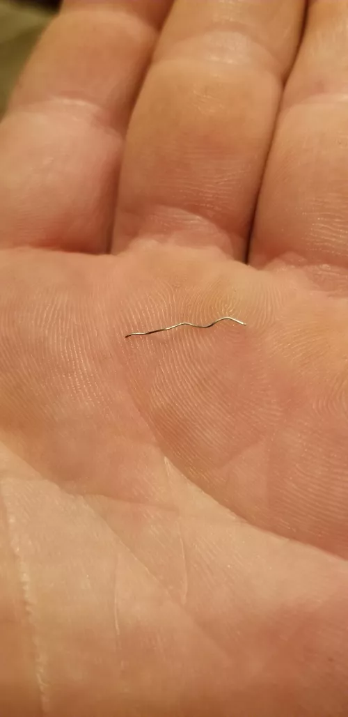 Wife pulled this out of my damn armpit. No idea how long it's been there. I just noticed a tiny pinch in my armpit and thought it was just a small splinter. Wish I would have been recording. by jayswood