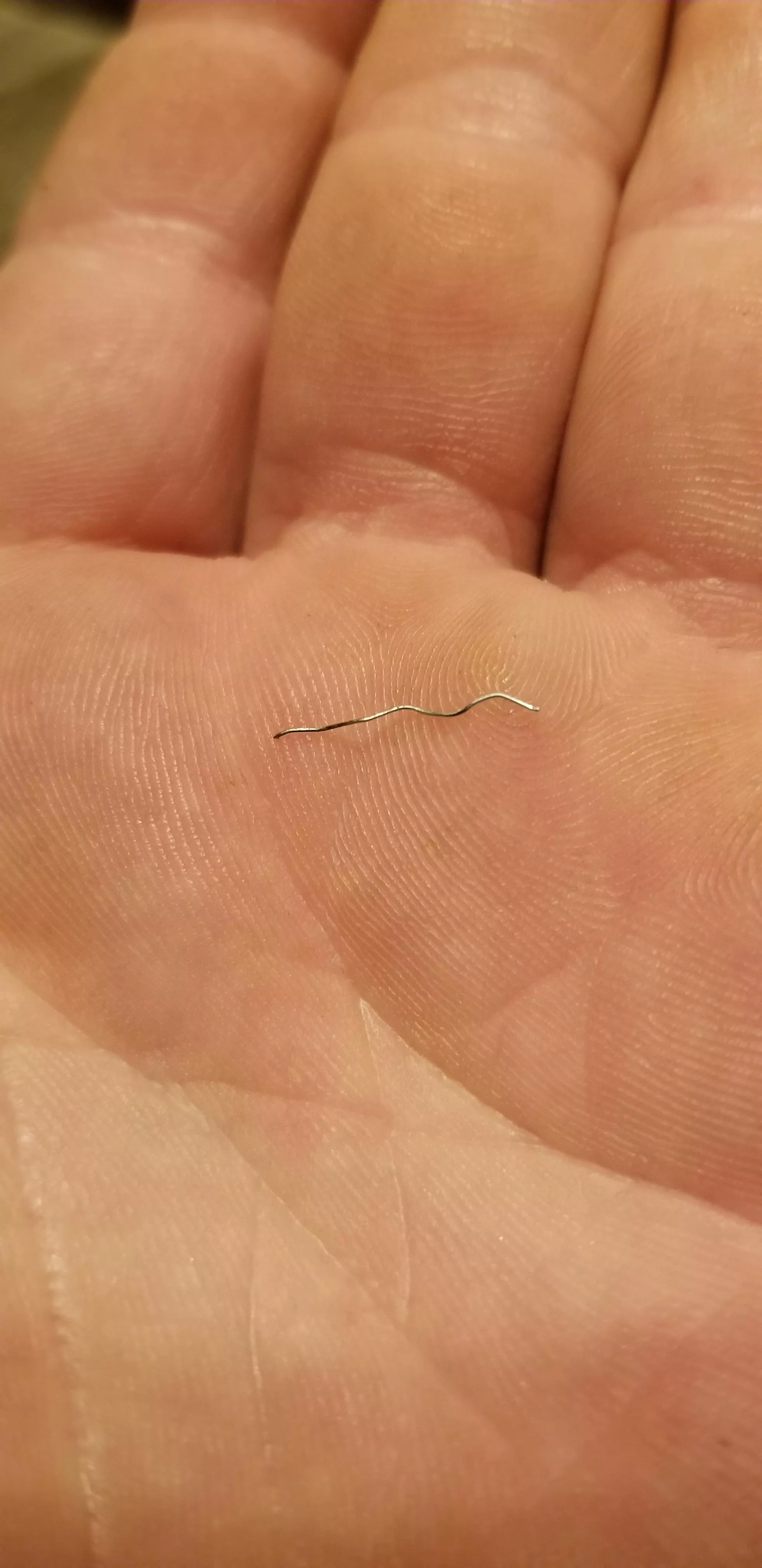 Wife pulled this out of my damn armpit. No idea how long it's been there. I just noticed a tiny pinch in my armpit and thought it was just a small splinter. Wish I would have been recording. posted by jayswood