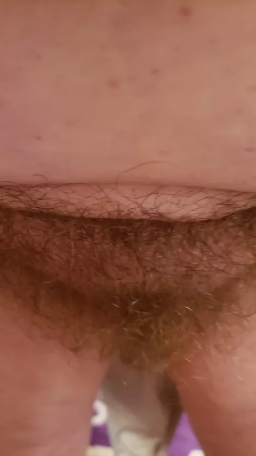 Wife sent me this while I was at work.... by hairywifelover