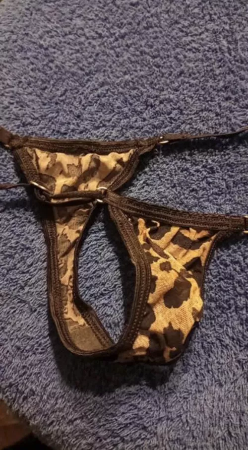 Wife thongs, trade dm by Putrid_Plankton_1640