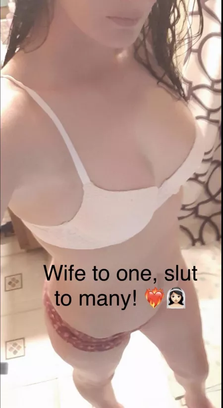 Wife to one, slut to many! by NorthernStag34