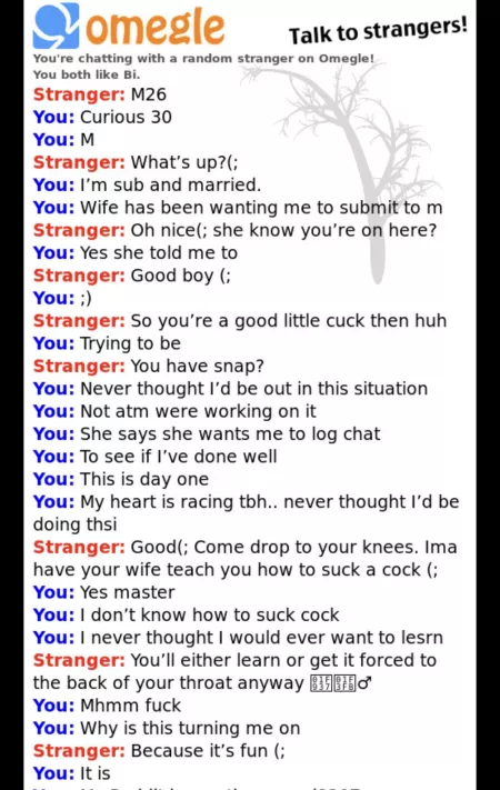 Wife was mad it wasn’t longer. Wants me to have another chat with a bull for her to log. First steps for being a sub cuck? by CreativeAppeal8307