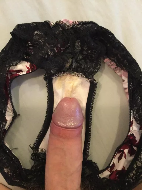 Wife’s cummed panties by cap7977