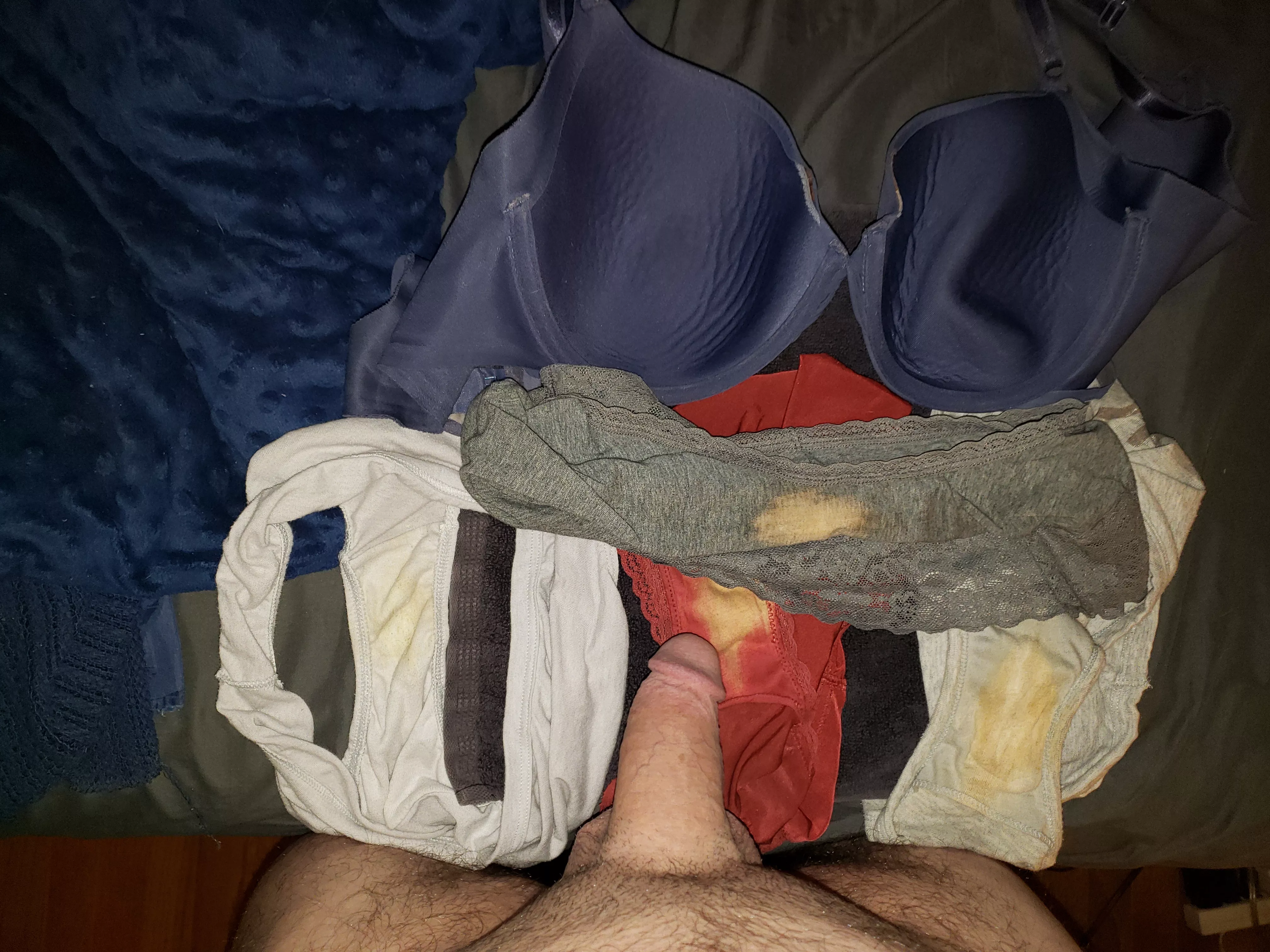 Wife's cummy panties and bra about to get my cock posted by smalldickhubby2020