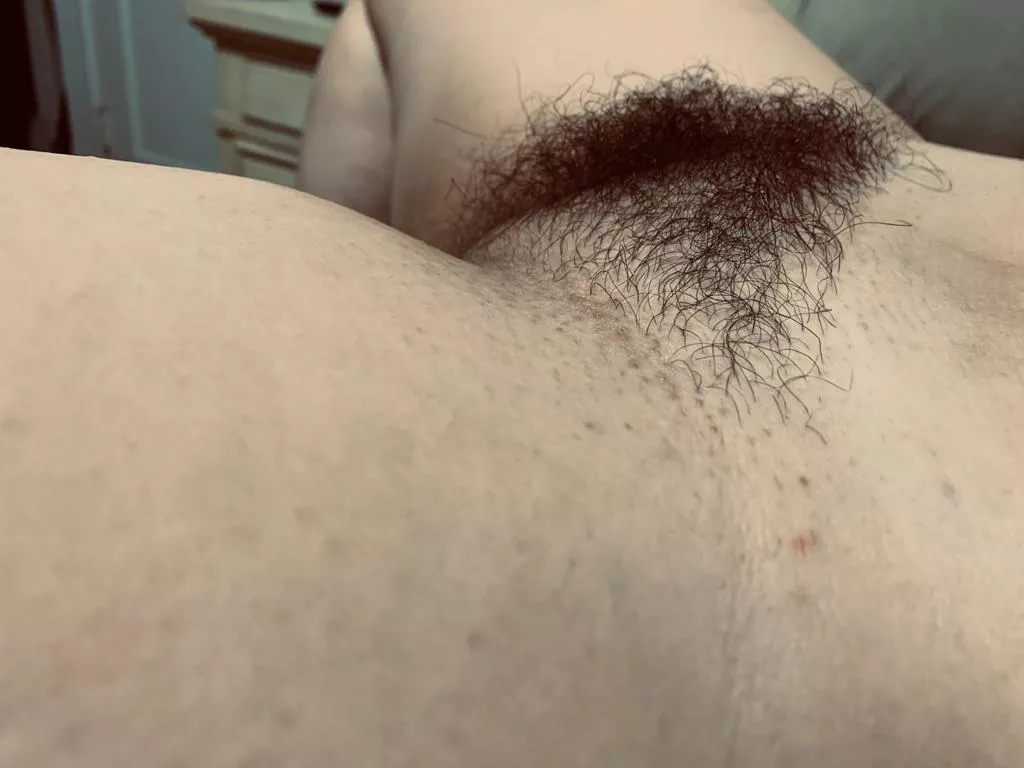 Wife’s hairy pussy mound posted by PerspectiveFar3787