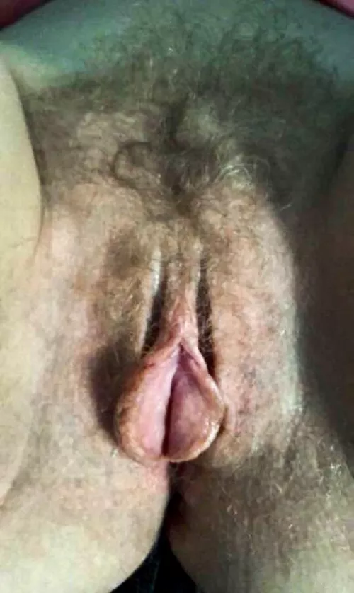 Wife’s Wild Hairy Blonde Pussy and wide open Big Meaty Labia. by mybhb