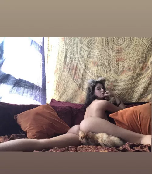 Wild fox 🦊 we’ll see if you succeed in taming me 😏 by lolasrosebud