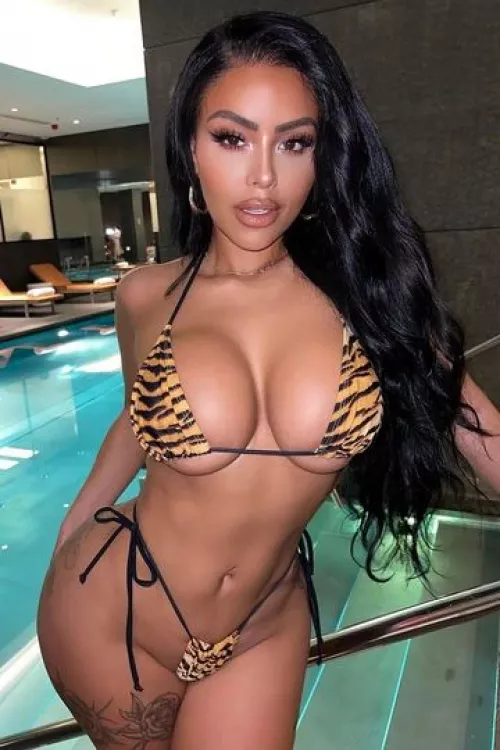 wild on vacation by TomsDick60