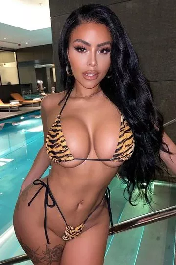 wild on vacation posted by TomsDick60