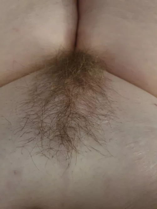 Wild or trimmed? by maebrywest